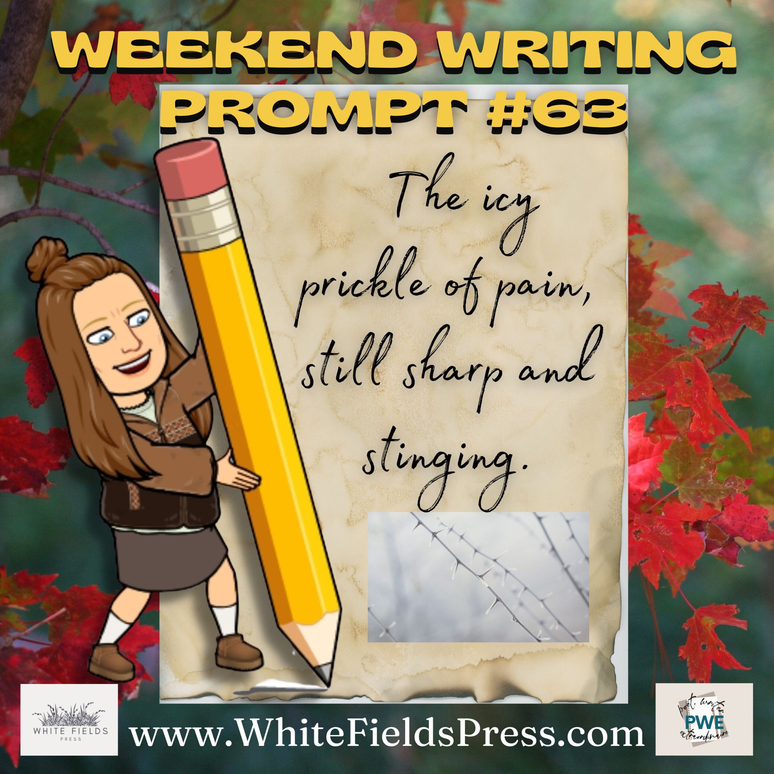 Weekend Writing Prompt #63